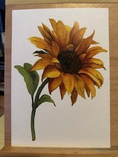 SUNFLOWER 4