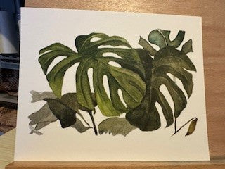 MONSTERA LEAVES 2