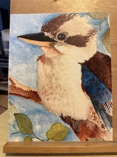 KOOKABURRA