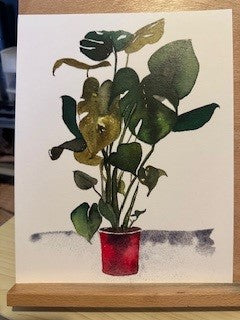 PLANT IN RED POT