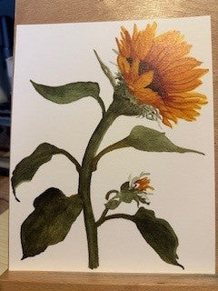 SUNFLOWER 2