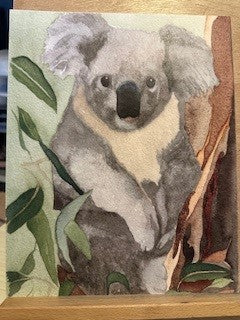 KOALA