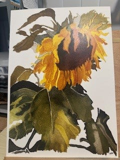 SUNFLOWER 3