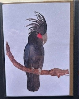 BLACK COCKATOO