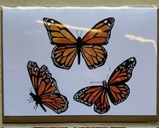 MONARCH BUTTERFLIES