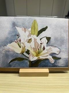 WHITE LILLY BLUE BKG