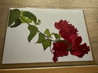 BOUGAINVILLEA CARD